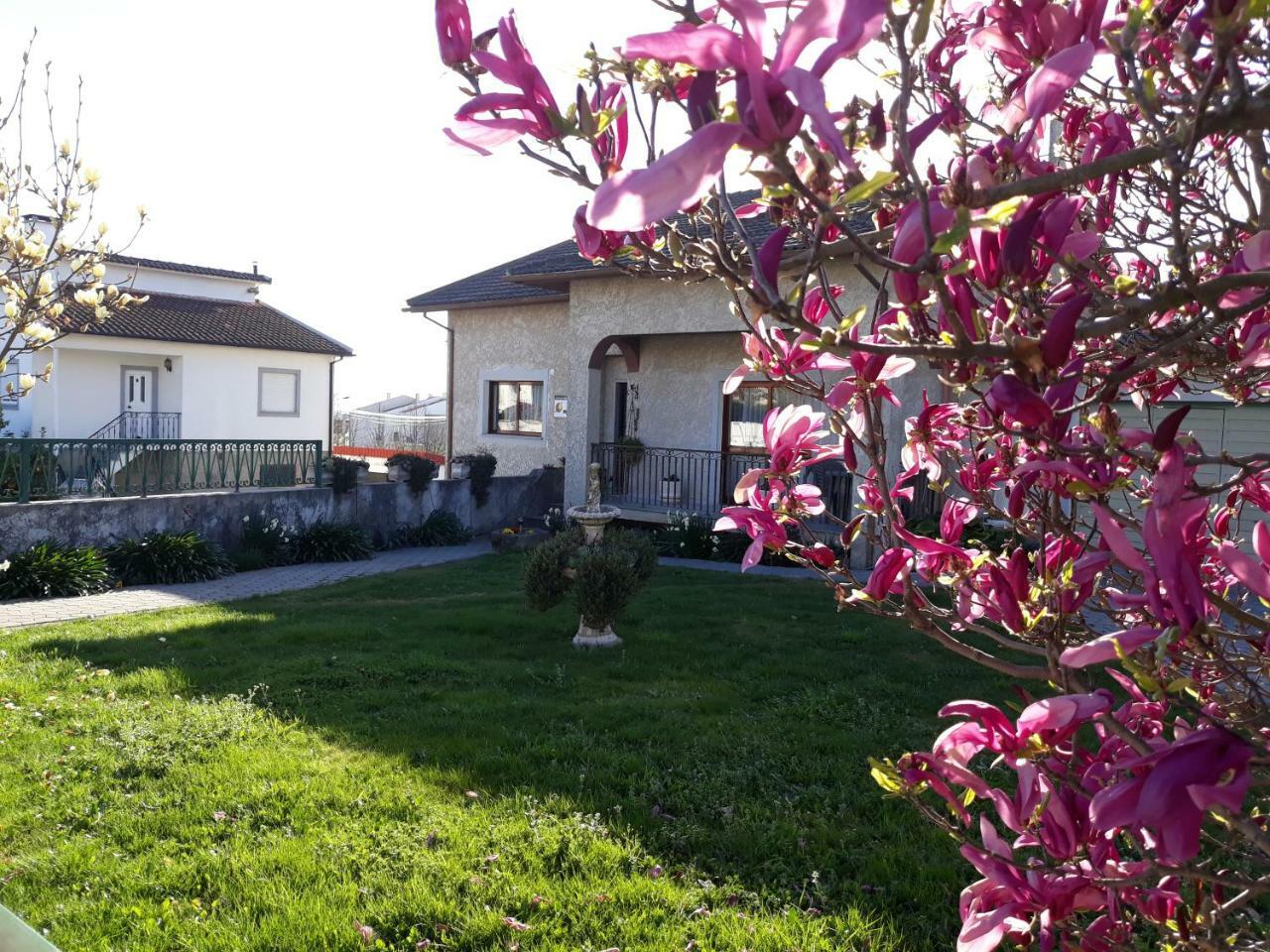 Cynda'S Home Viseu Exteriör bild